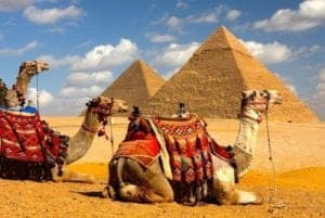 что можно посмотреть в Макади Бэй