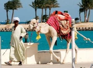 Шарм-эль-Шейх