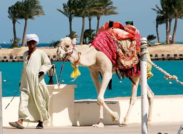 Шарм-эль-Шейх Шарм-эль-Шейх